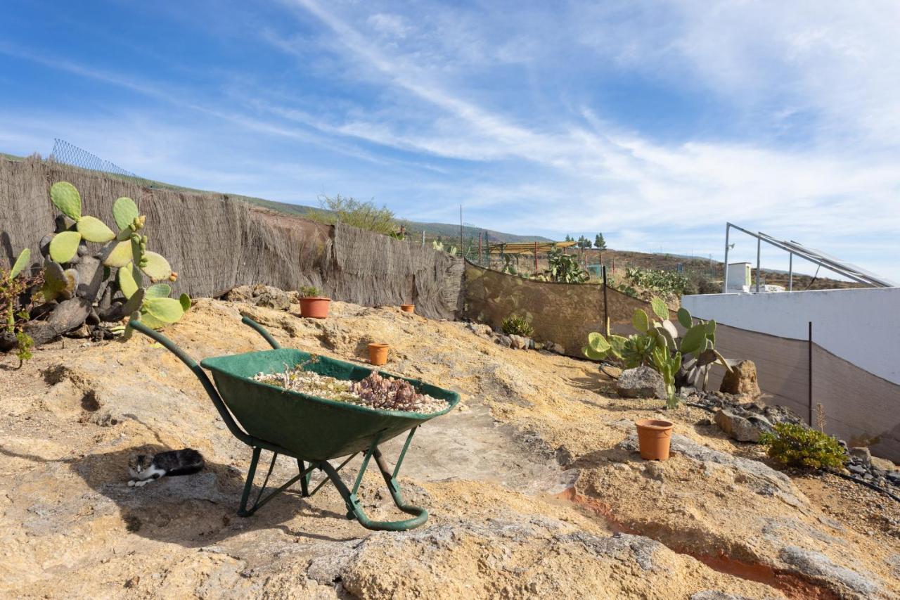 Casa Cueva Gaspara Arico Eksteriør bilde